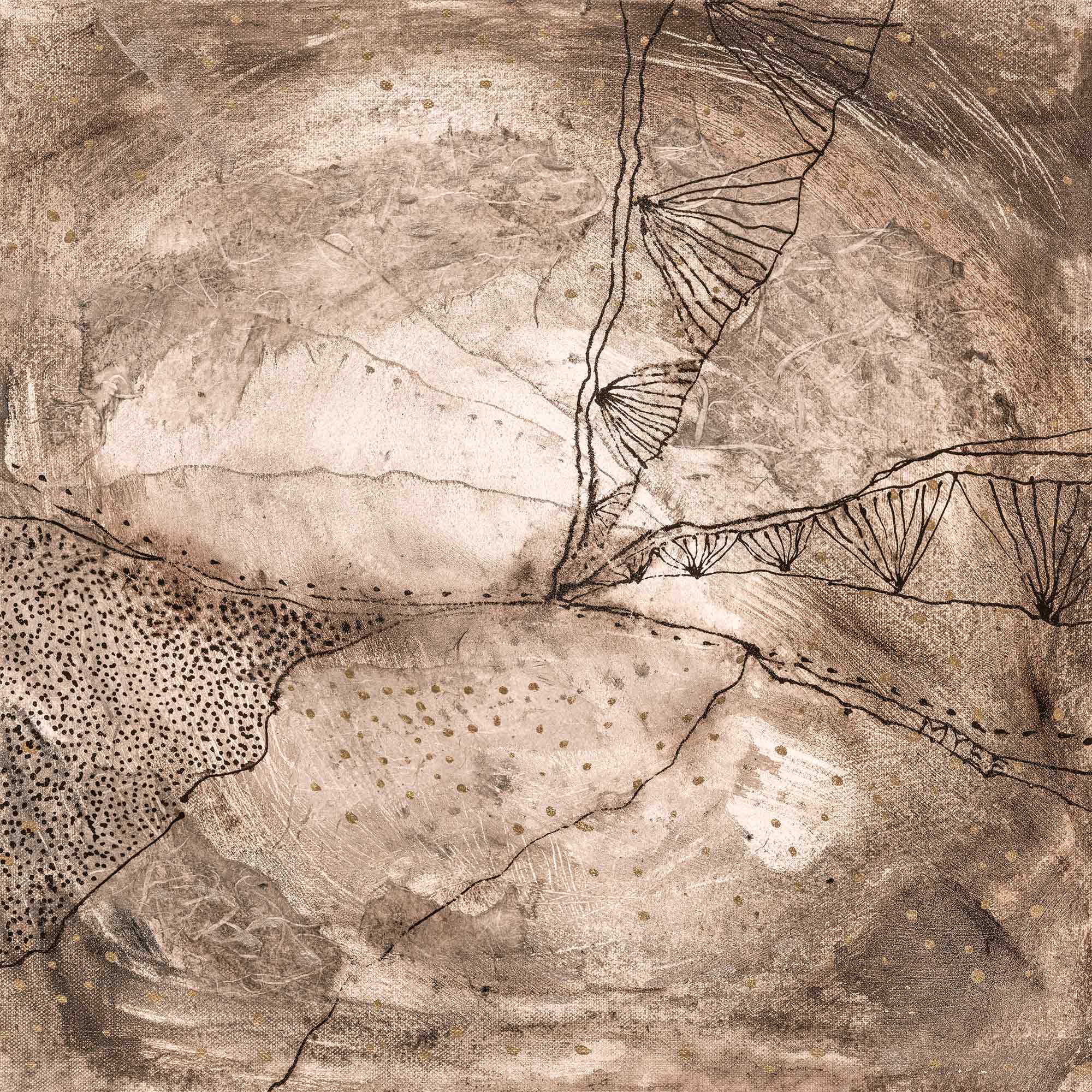 STRETCHED CANVAS PRINT $1155